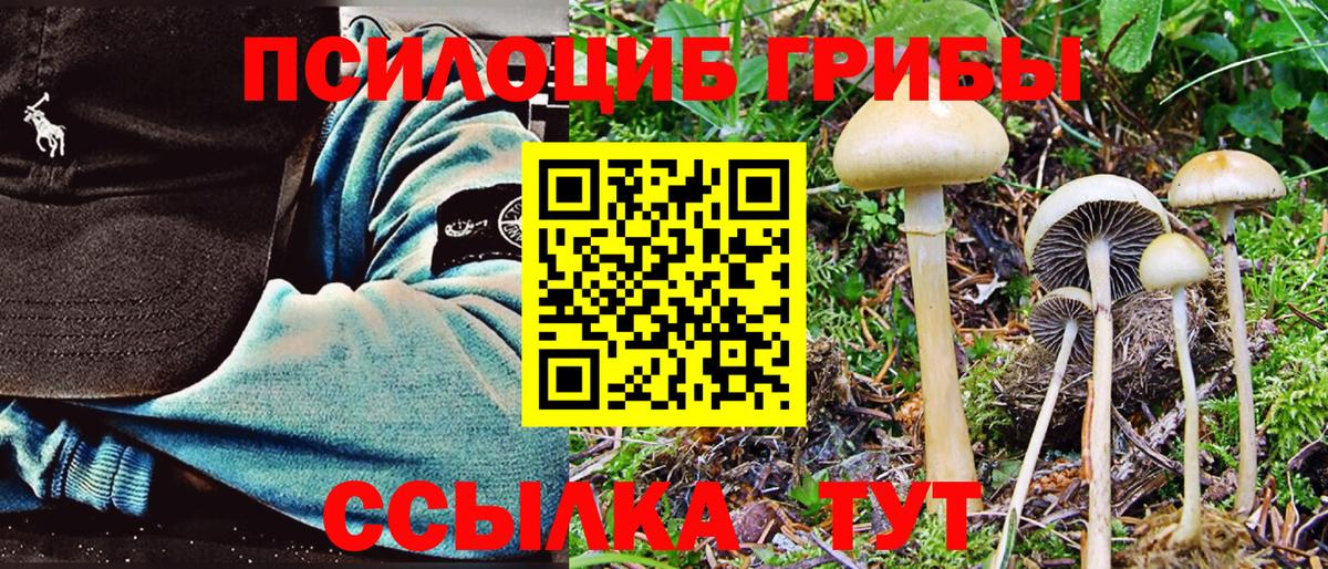 Галлюциногенные грибы GOLDEN TEACHER Электросталь
